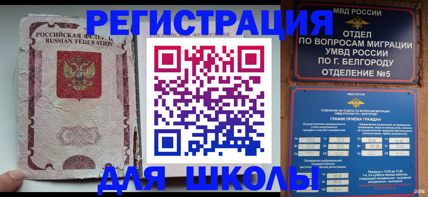 прописка гарантия в Тынде